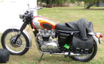 Triumph Bonneville