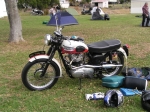 Triumph Trophy TR6